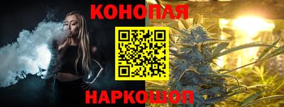 мяу мяу мука Нарткала