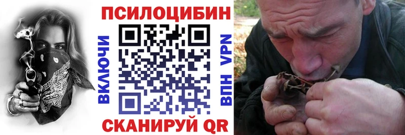 Галлюциногенные грибы Psilocybine cubensis  Углич 