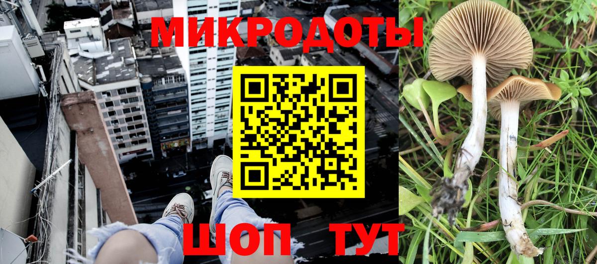 Псилоцибиновые грибы Magic Shrooms Углич