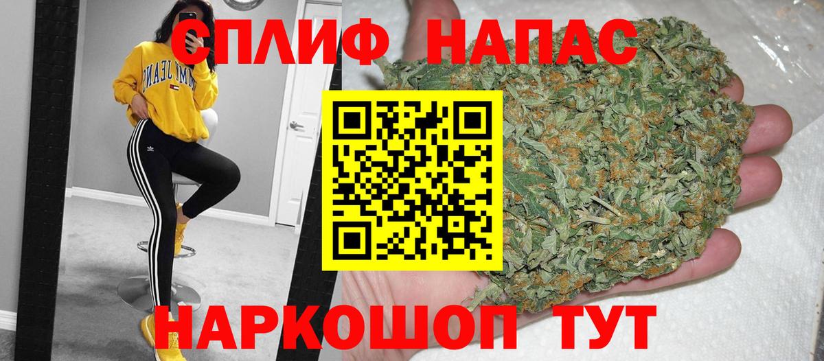 Конопля White Widow  Канабис план  Марихуана THC 21%  Вход с VPN  Каннабис Bruce Banner  Углич 